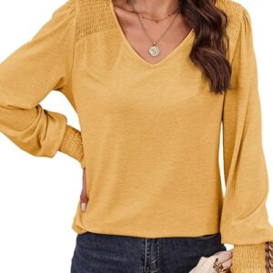 Women's Casual Long Sleeve Shirts Shirred Shoulders Solid Color Knit Tops Blouses